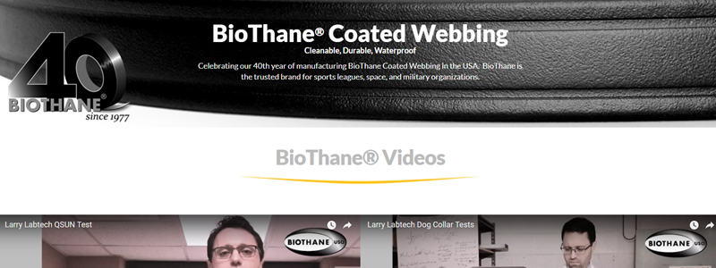 BioThane Finds the Right Google Site Search Replacement Through Thunderstone